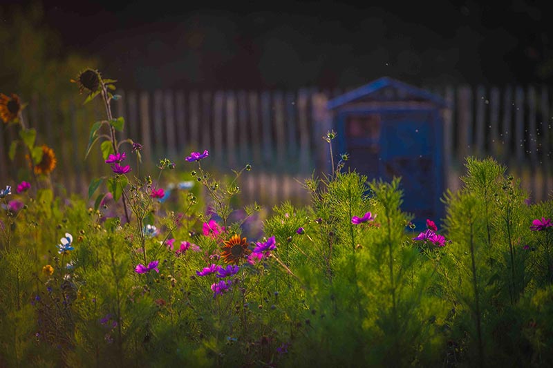 Entretien des espaces verts, jardins