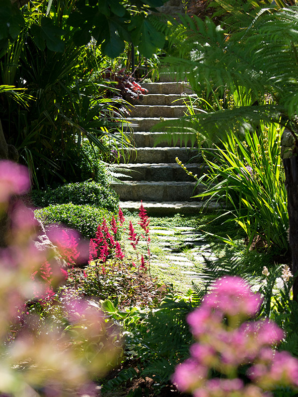 Villa La Caleta : Une harmonie naturelle