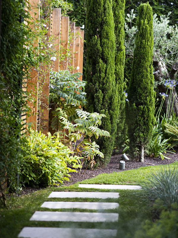 Le jardin d'Eden : Un jardin de contemplation et de découvertes