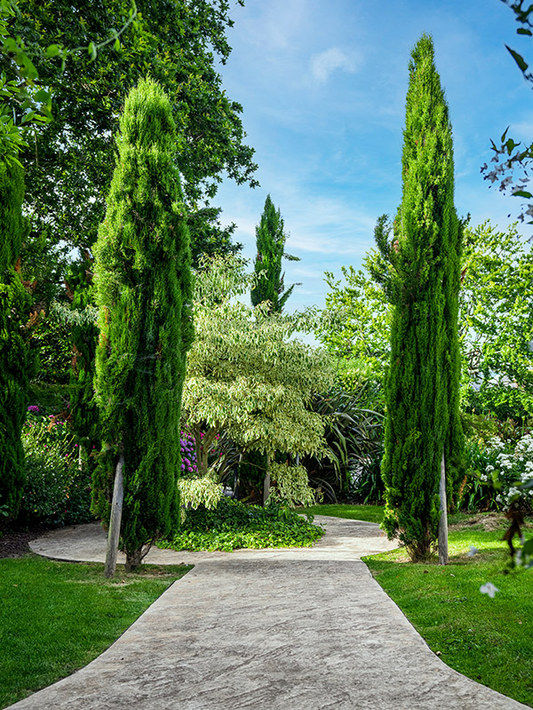 Les jardins d'harmonie : Une ode à la nature et à la sérénité