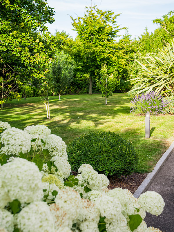 Les jardins d'harmonie : Une ode à la nature et à la sérénité